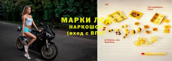 apvp Белокуриха