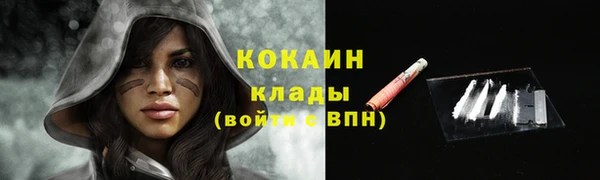 apvp Белокуриха