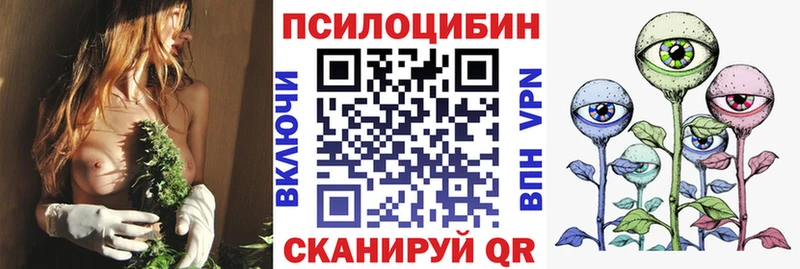 купить наркотики сайты  Ужур  Галлюциногенные грибы прущие грибы 